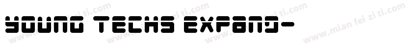 Young Techs Expand字体转换